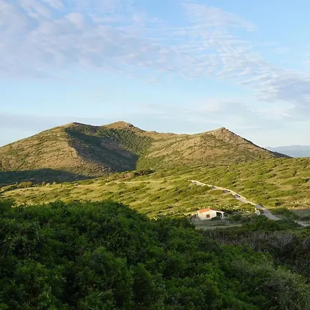 Hilltop Sardinian - 350m From A Wild Cove Cala Sapone