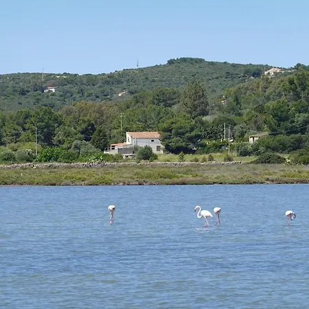 Hilltop Sardinian - 350m From A Wild Cove Cala Sapone