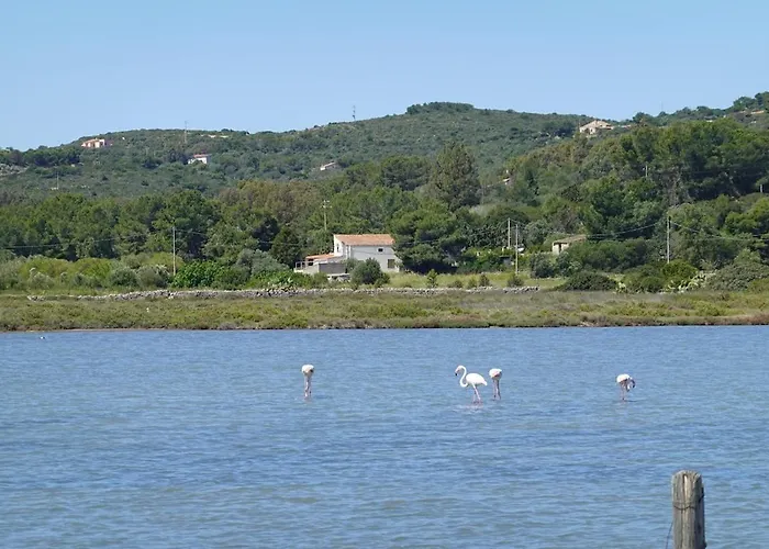Hilltop Sardinian - 350m From A Wild Cove Cala Sapone